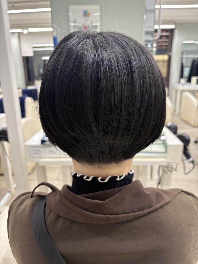 のスタイル画像