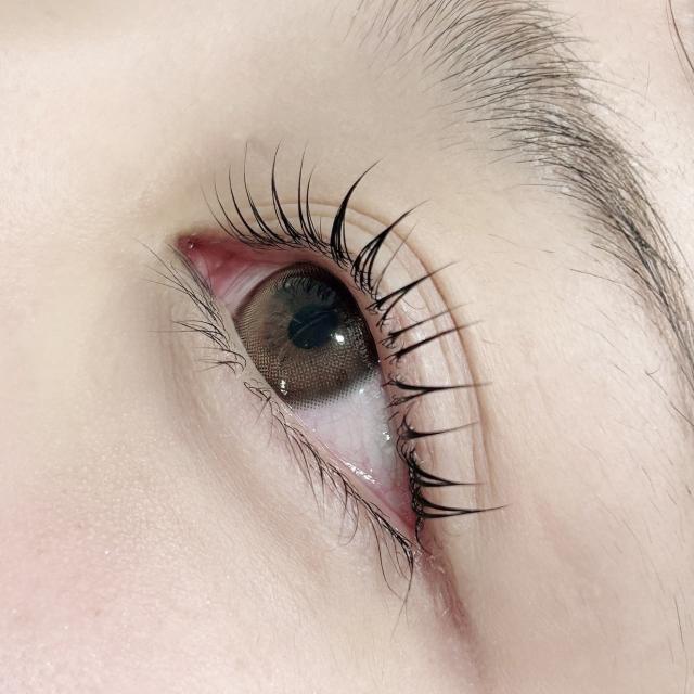 のスタイル画像