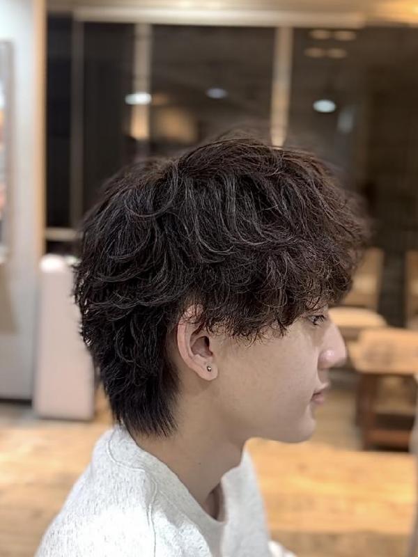 のスタイル画像