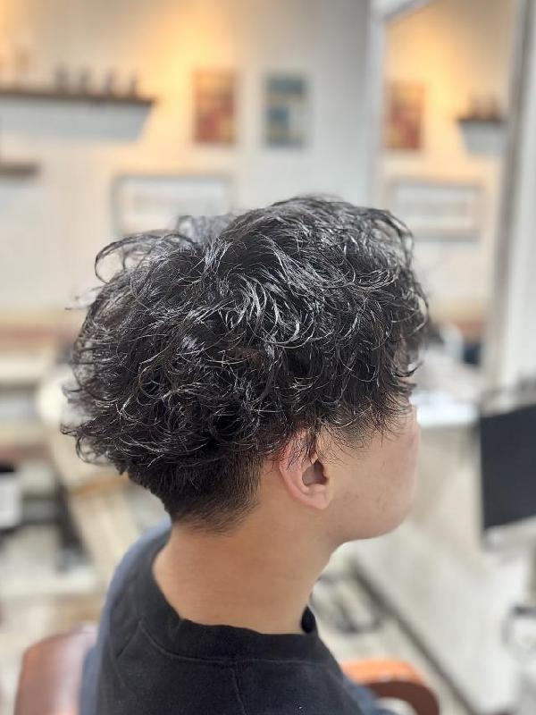 のスタイル画像