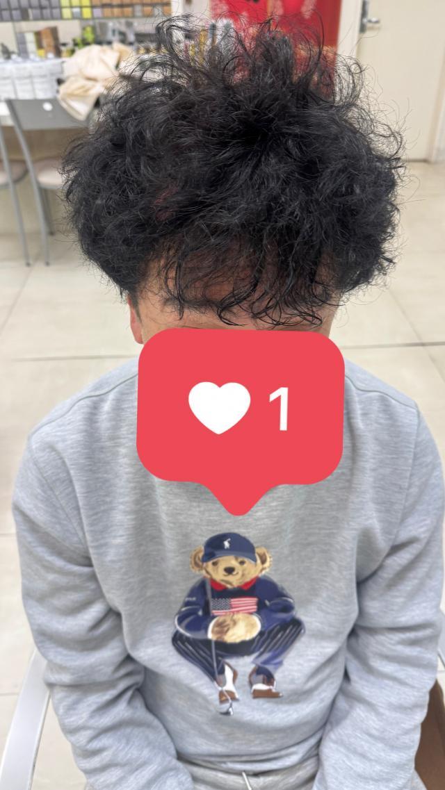 のスタイル画像