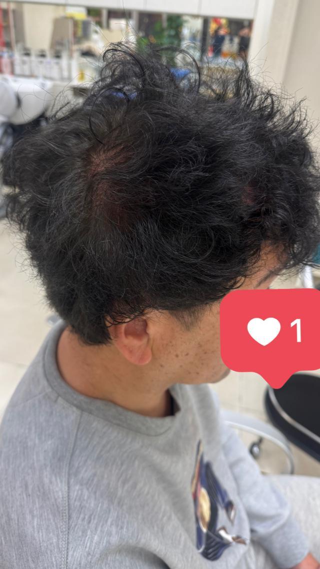 のスタイル画像