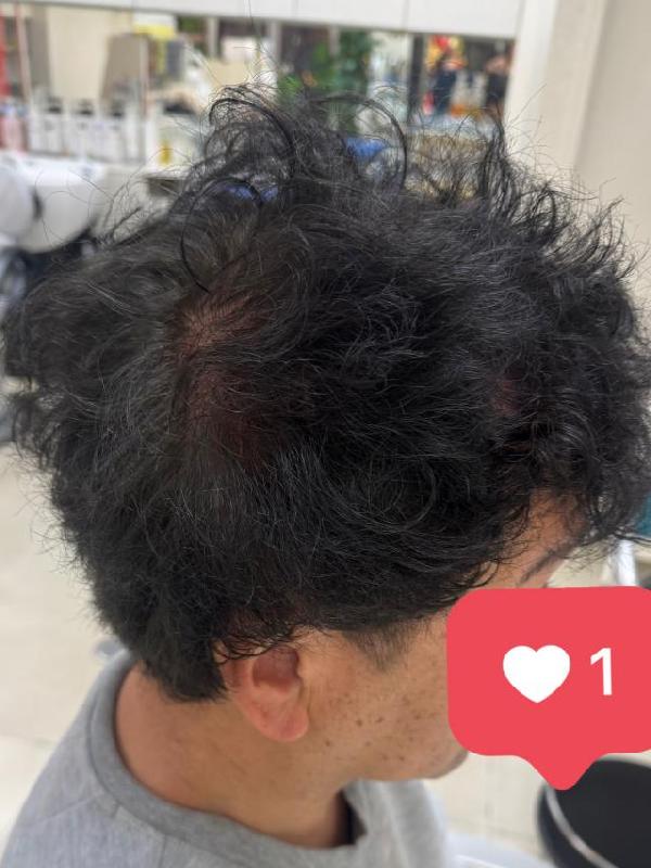 のスタイル画像