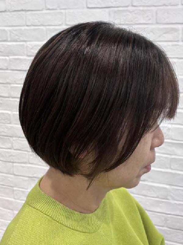 のスタイル画像