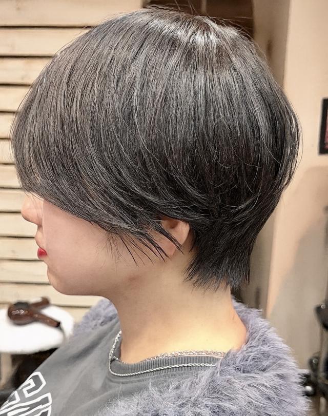 のスタイル画像