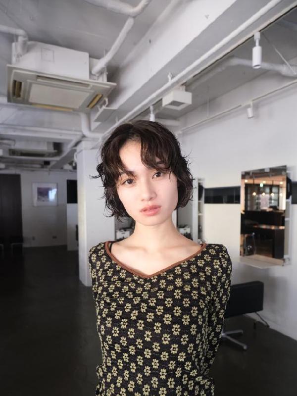 のスタイル画像