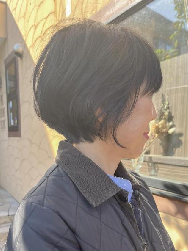 のスタイル画像