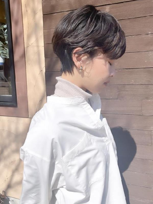 のスタイル画像