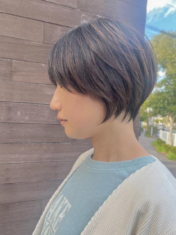 のスタイル画像