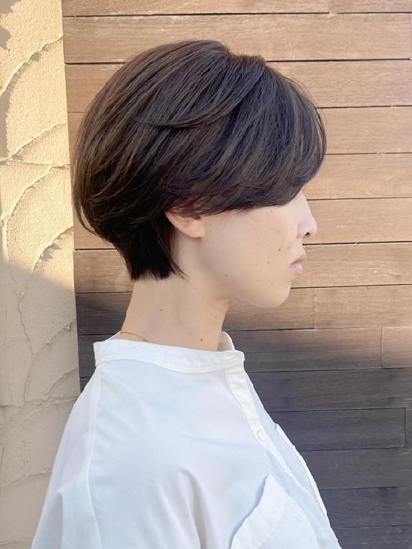 のスタイル画像