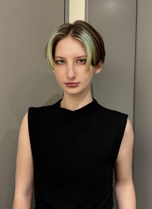 のスタイル画像