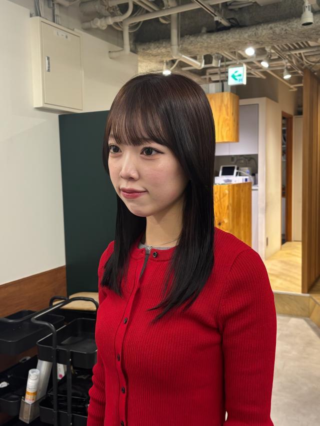 のスタイル画像