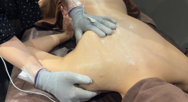 のスタイル画像