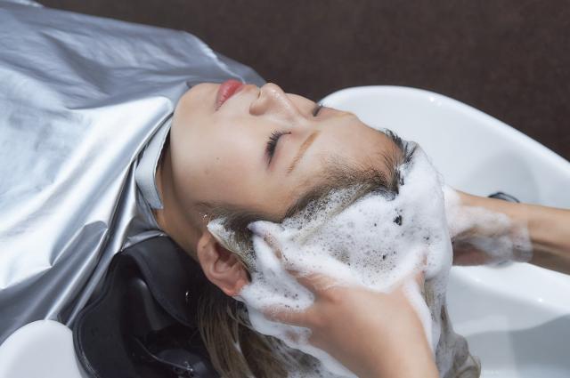 のスタイル画像