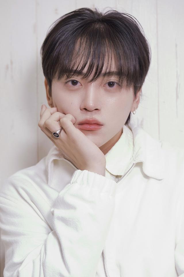 のスタイル画像