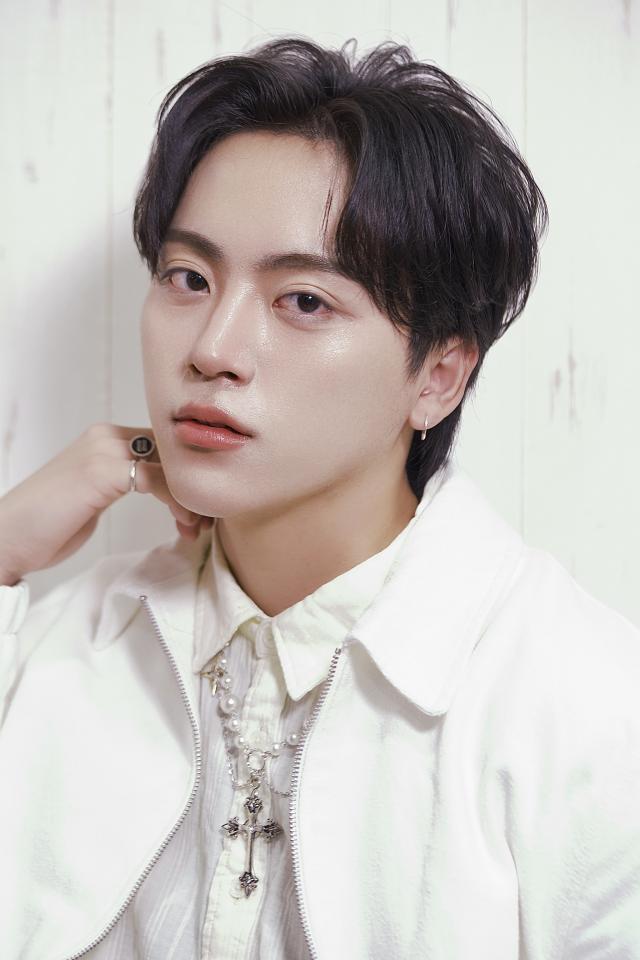 のスタイル画像