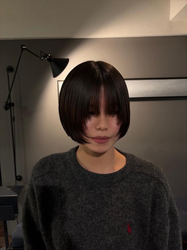 のスタイル画像