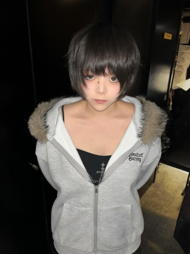 のスタイル画像