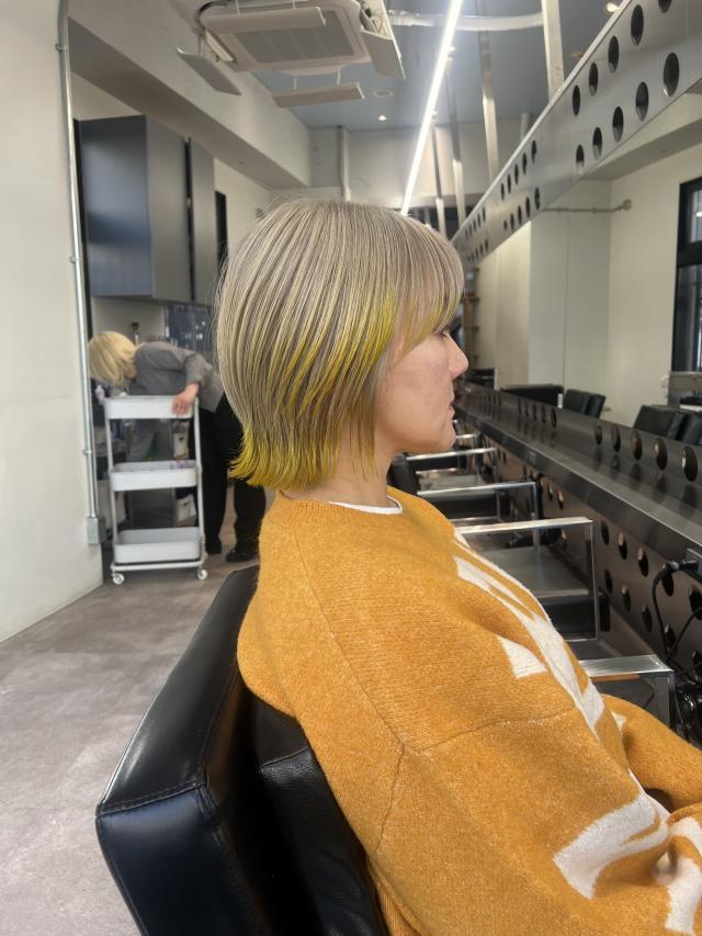 のスタイル画像