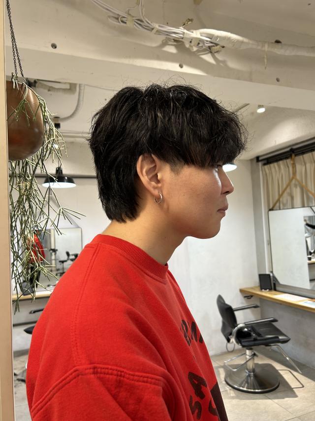 のスタイル画像