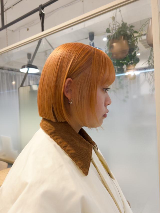 のスタイル画像