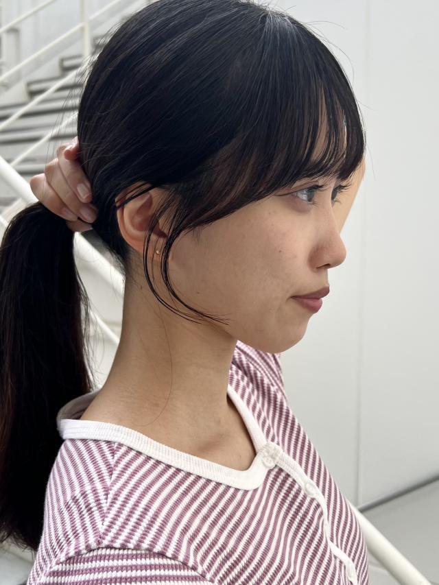 のスタイル画像