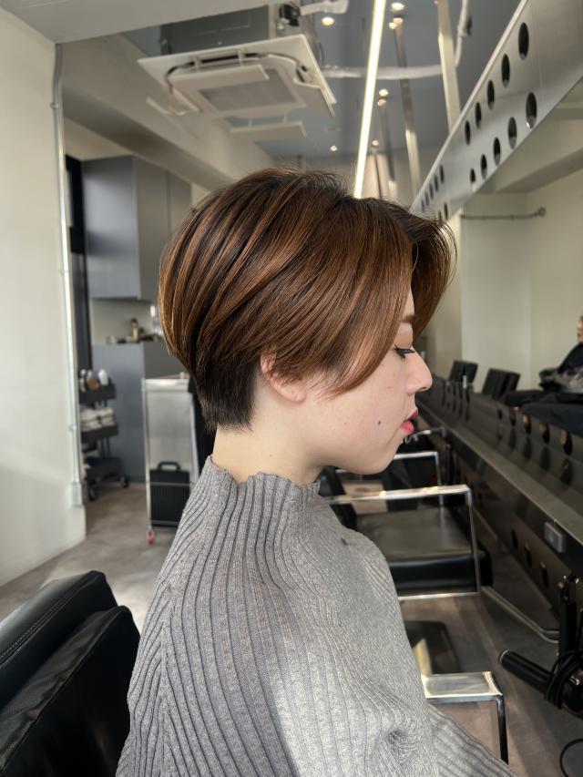 のスタイル画像