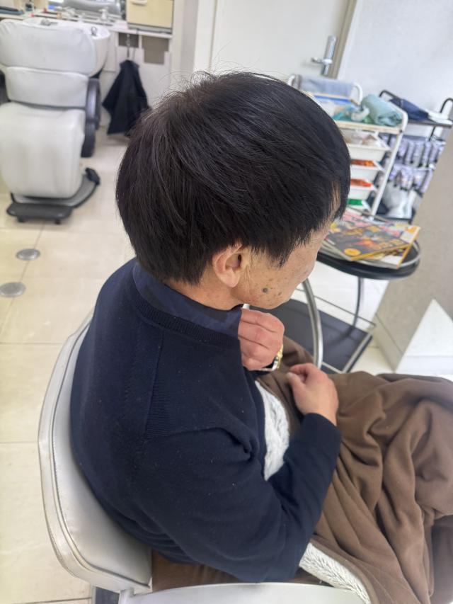 のスタイル画像