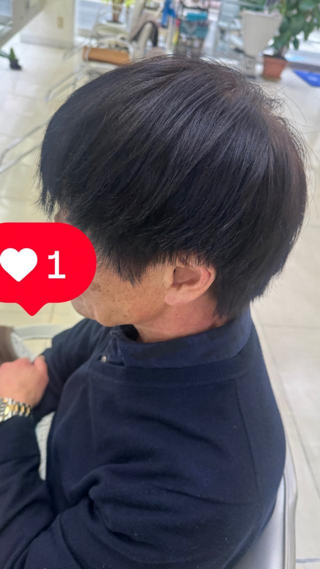 のスタイル画像