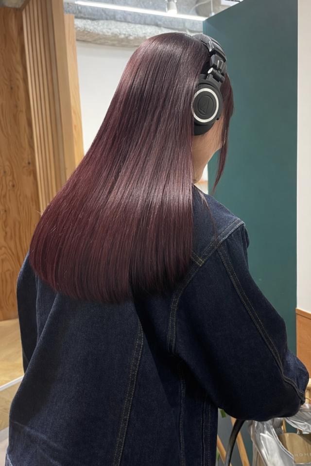 メニュー写真