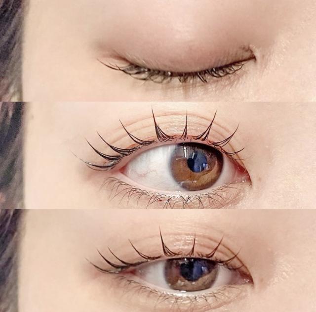 のスタイル画像