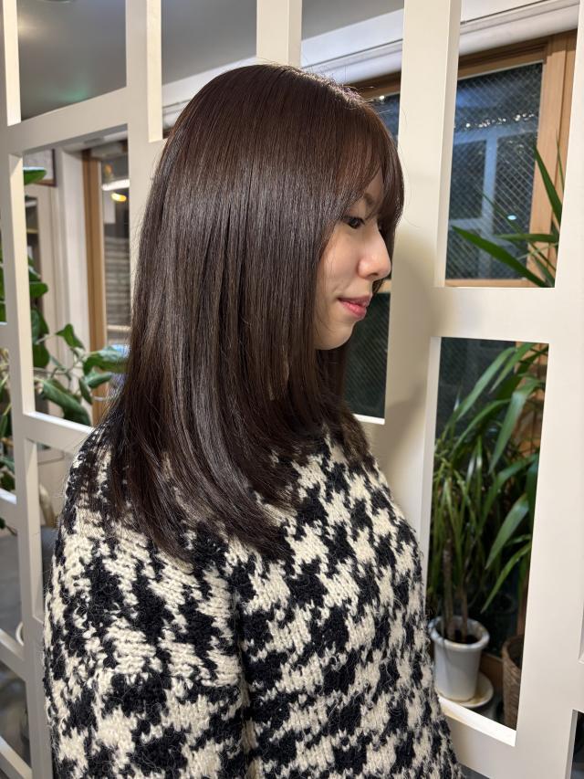 のスタイル画像