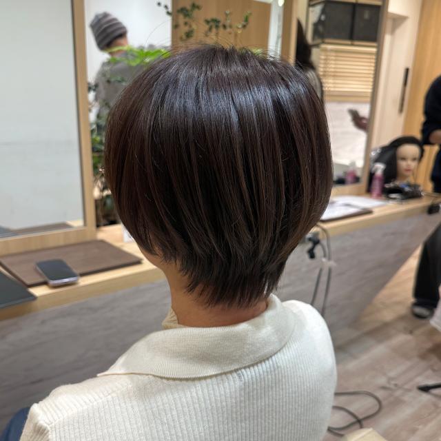 のスタイル画像