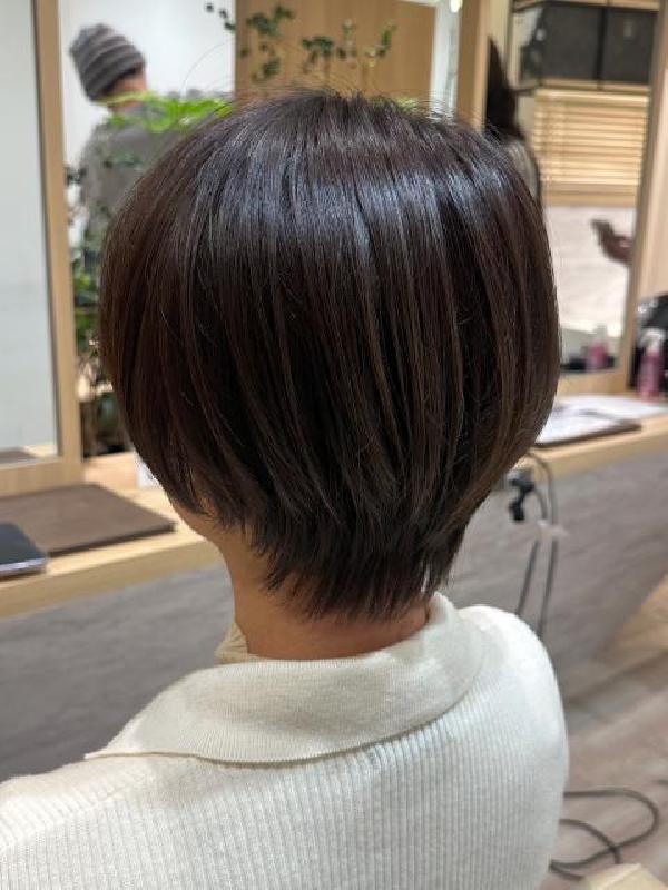 のヘアカタログ画像