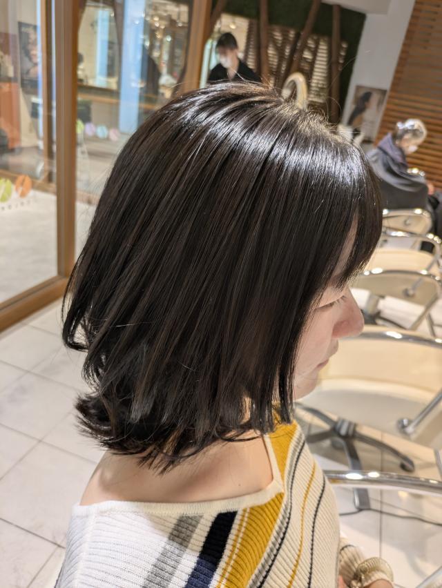 のスタイル画像