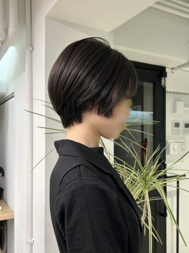 のスタイル画像