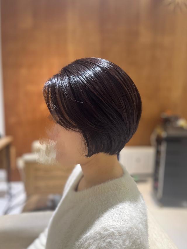 のスタイル画像