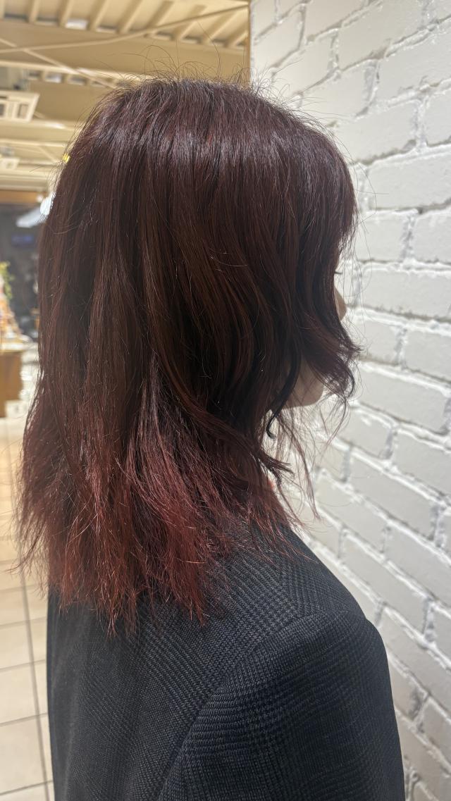 のスタイル画像