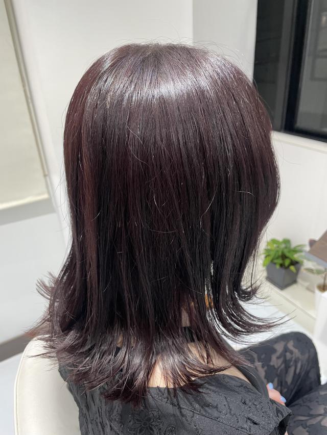 のスタイル画像