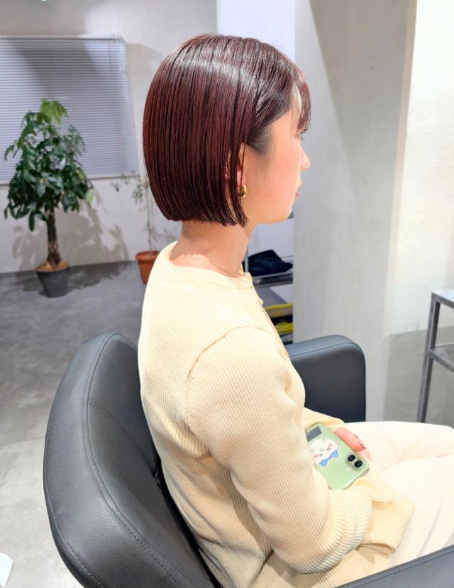 のスタイル画像