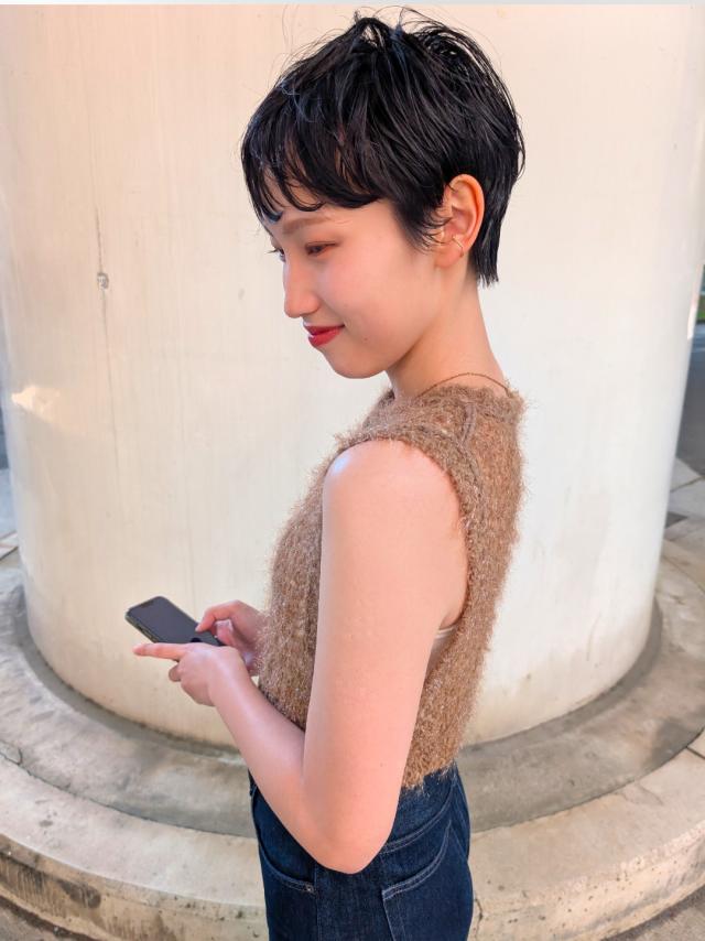 のスタイル画像