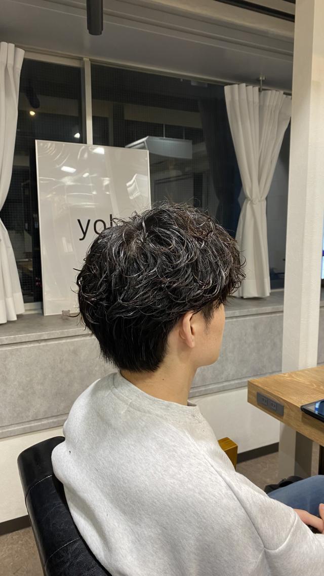 のスタイル画像