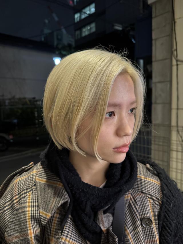 のスタイル画像