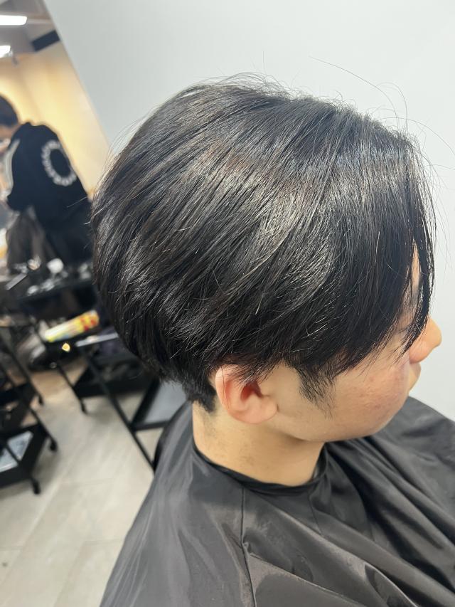 のスタイル画像