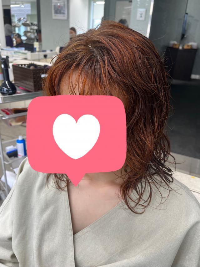 メニュー写真