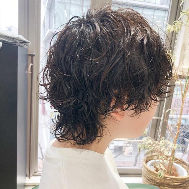 メニュー写真