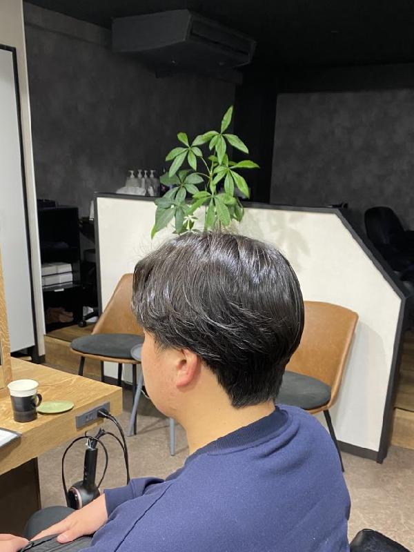 のヘアカタログ画像