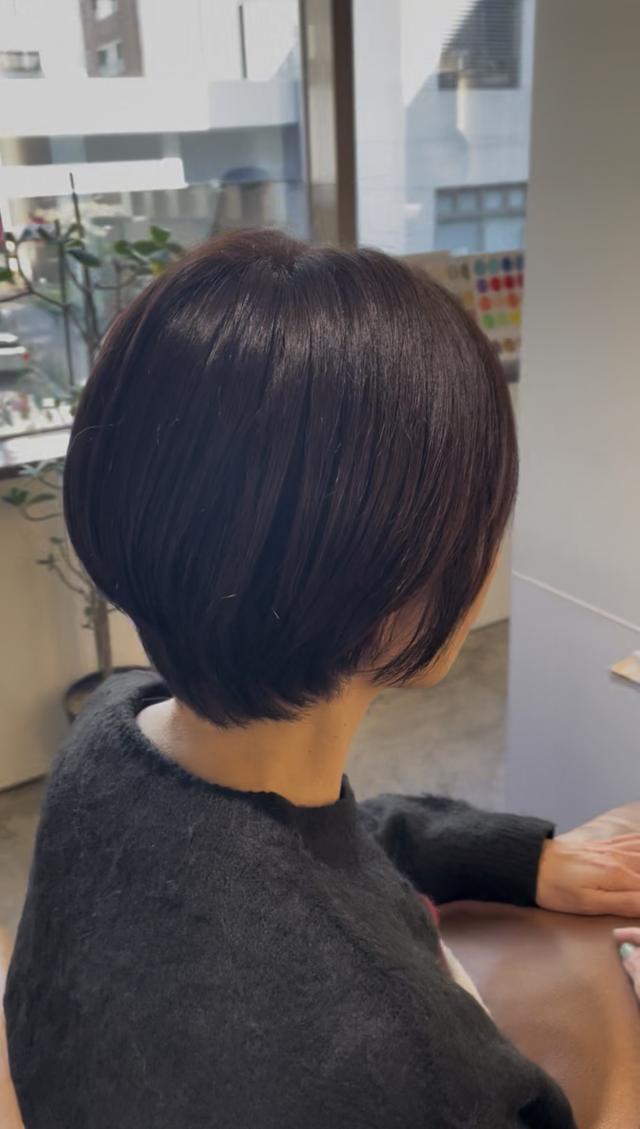 メニュー写真