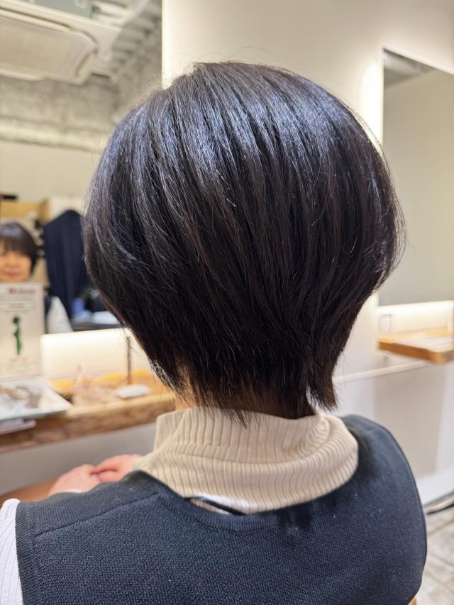 のスタイル画像