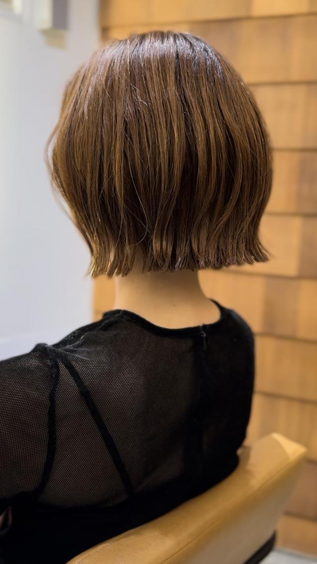 メニュー写真